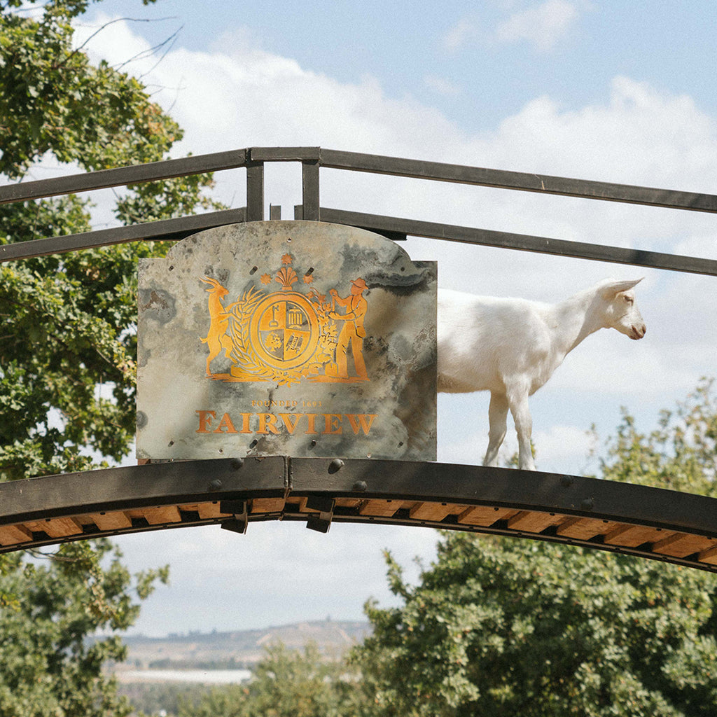 Fairview Wines Collection Logo