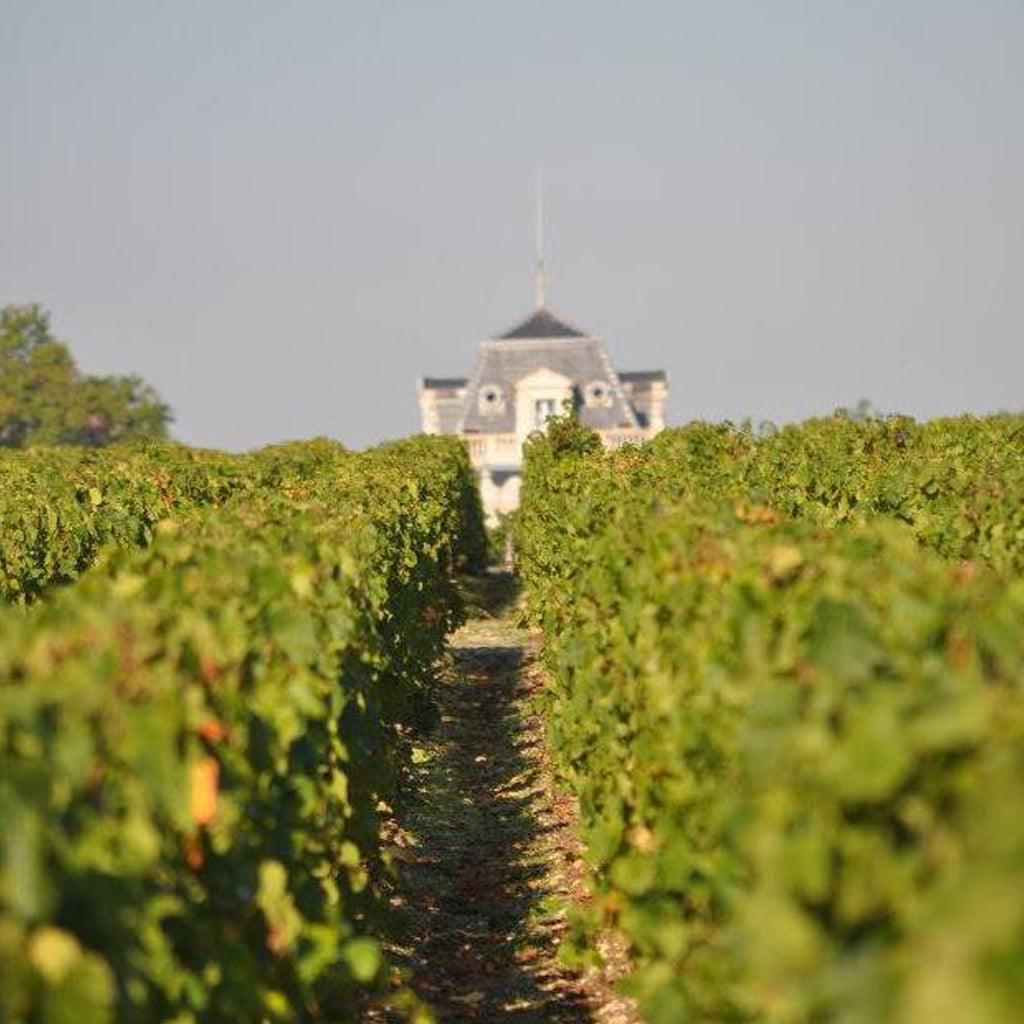 Photo of a row of vines with Château Giscours on the horizon