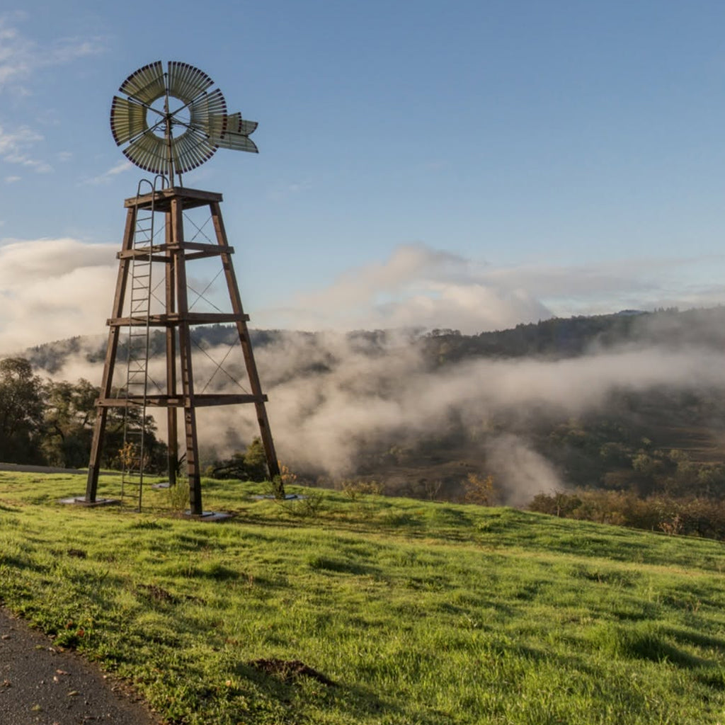 Golden Vineyards Windmill in Mendocino County, California