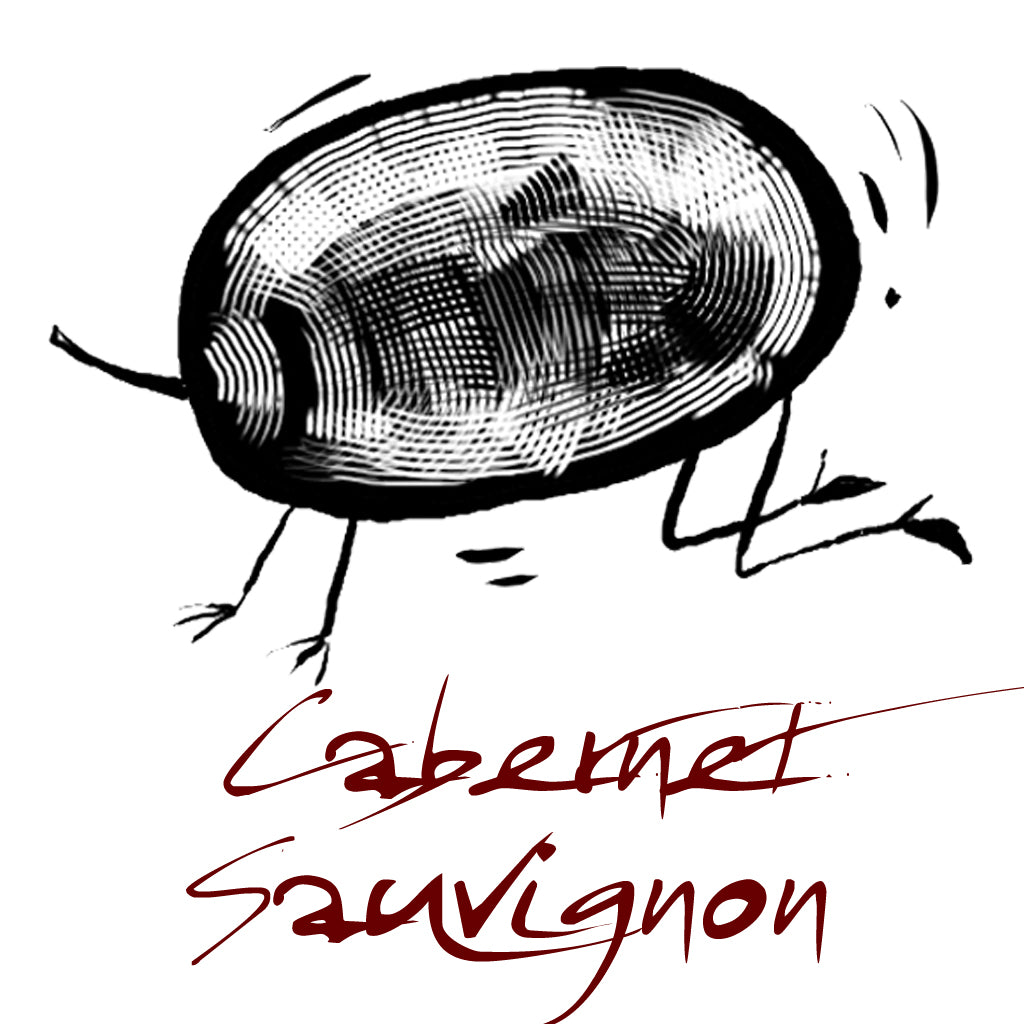 Wine made from the Cabernet Sauvignon grape variety