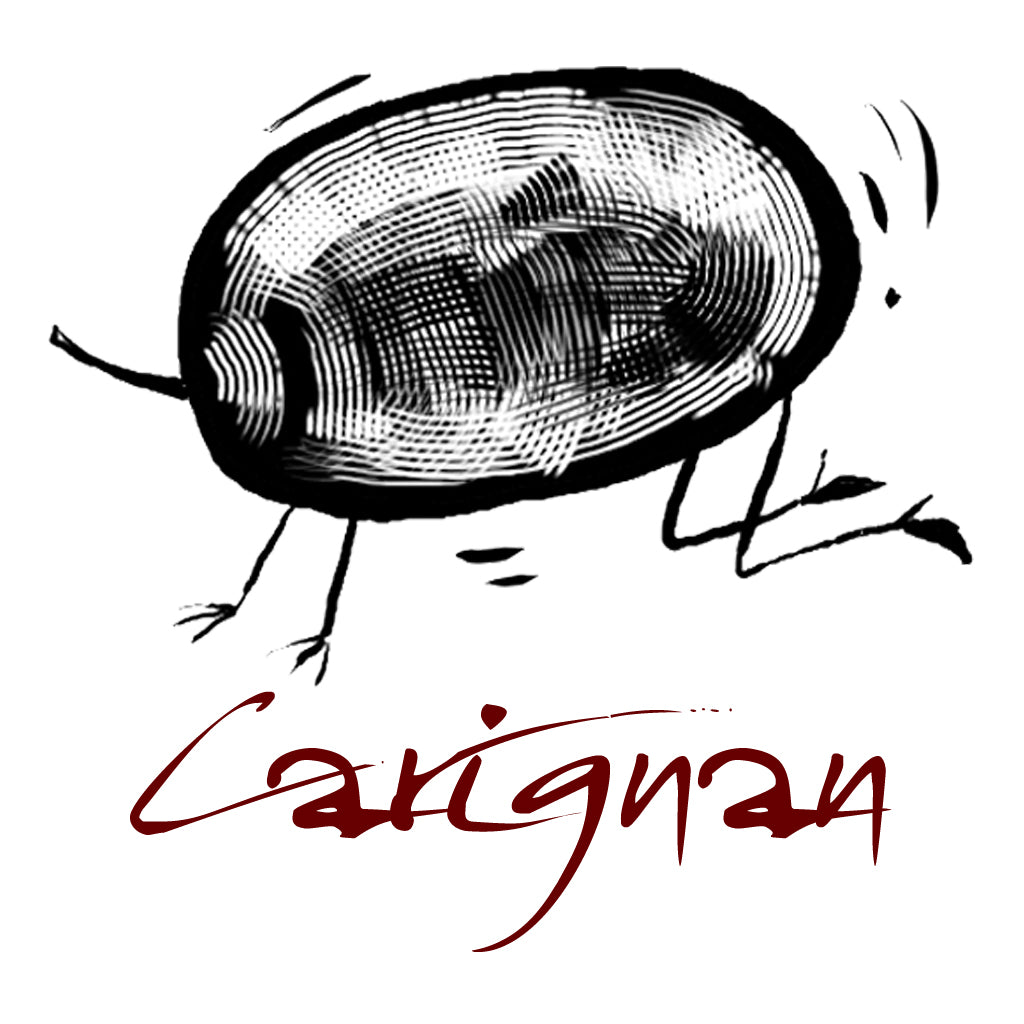 Wine made from the Carignan grape variety