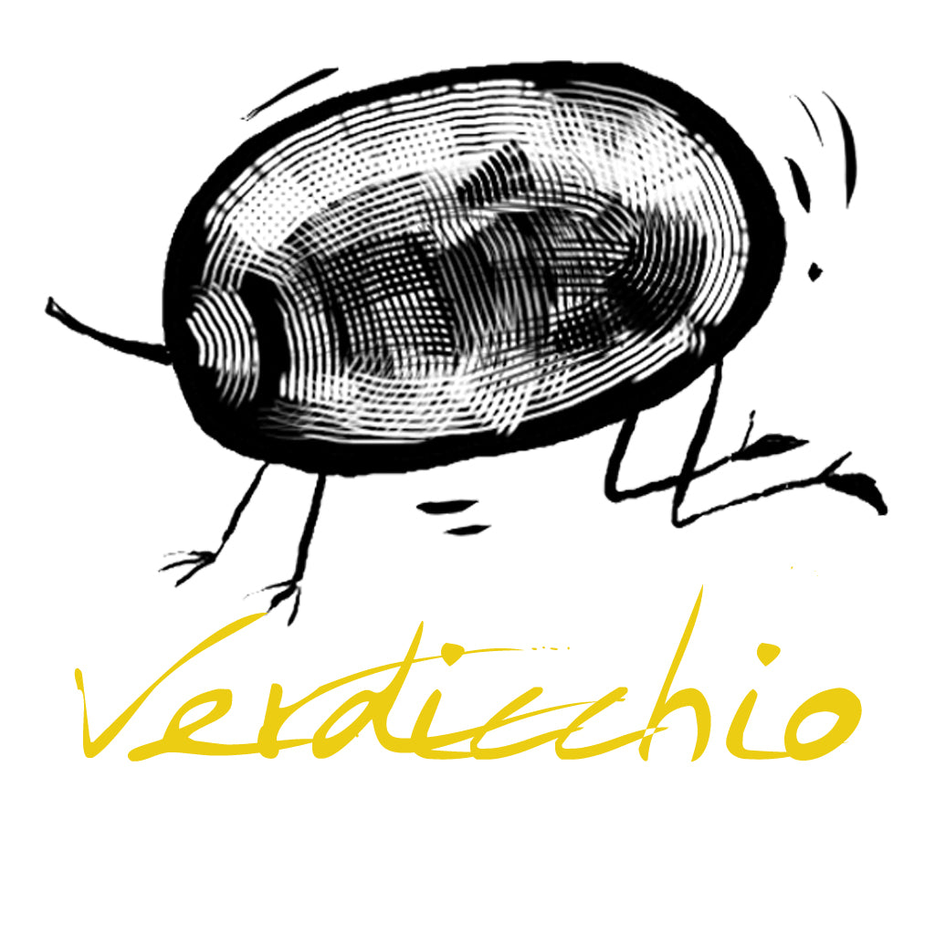 Wine made from the Verdicchio grape