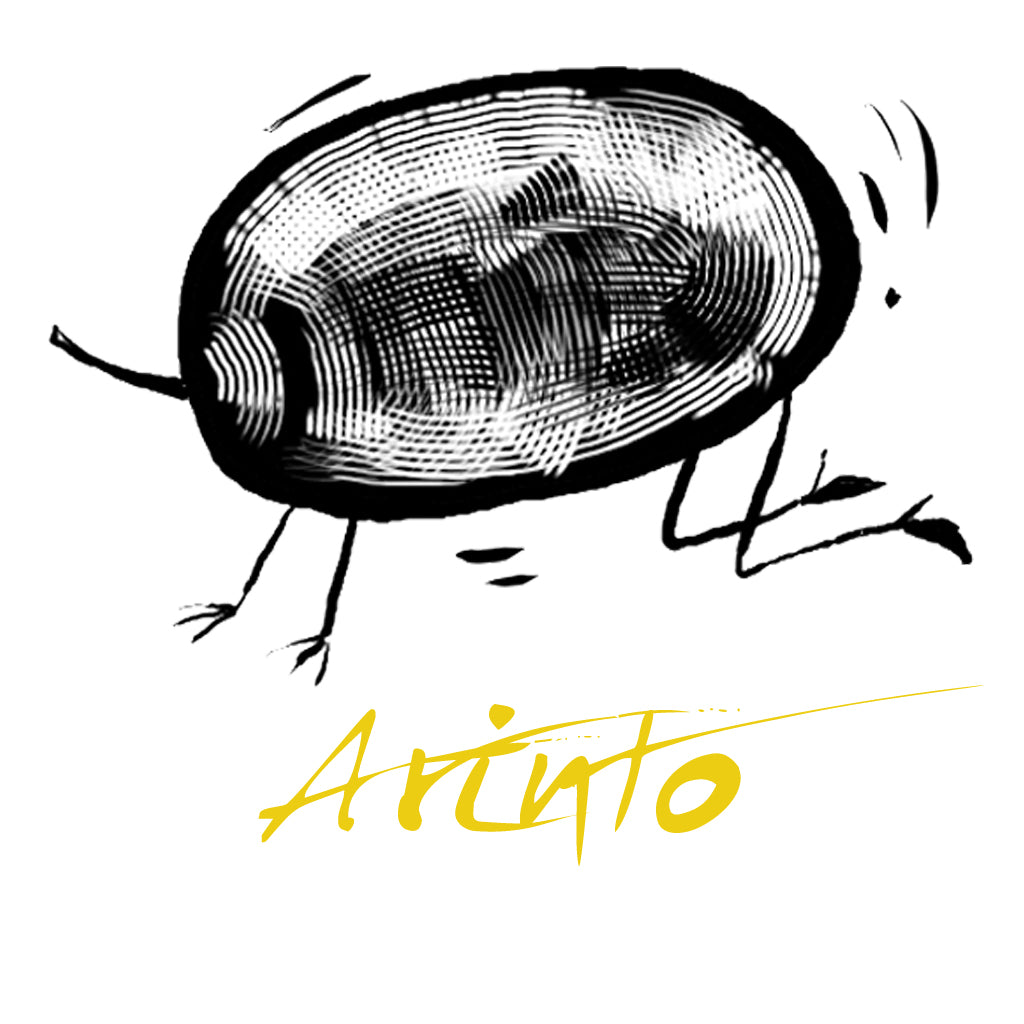 Wine made from the Arinto grape