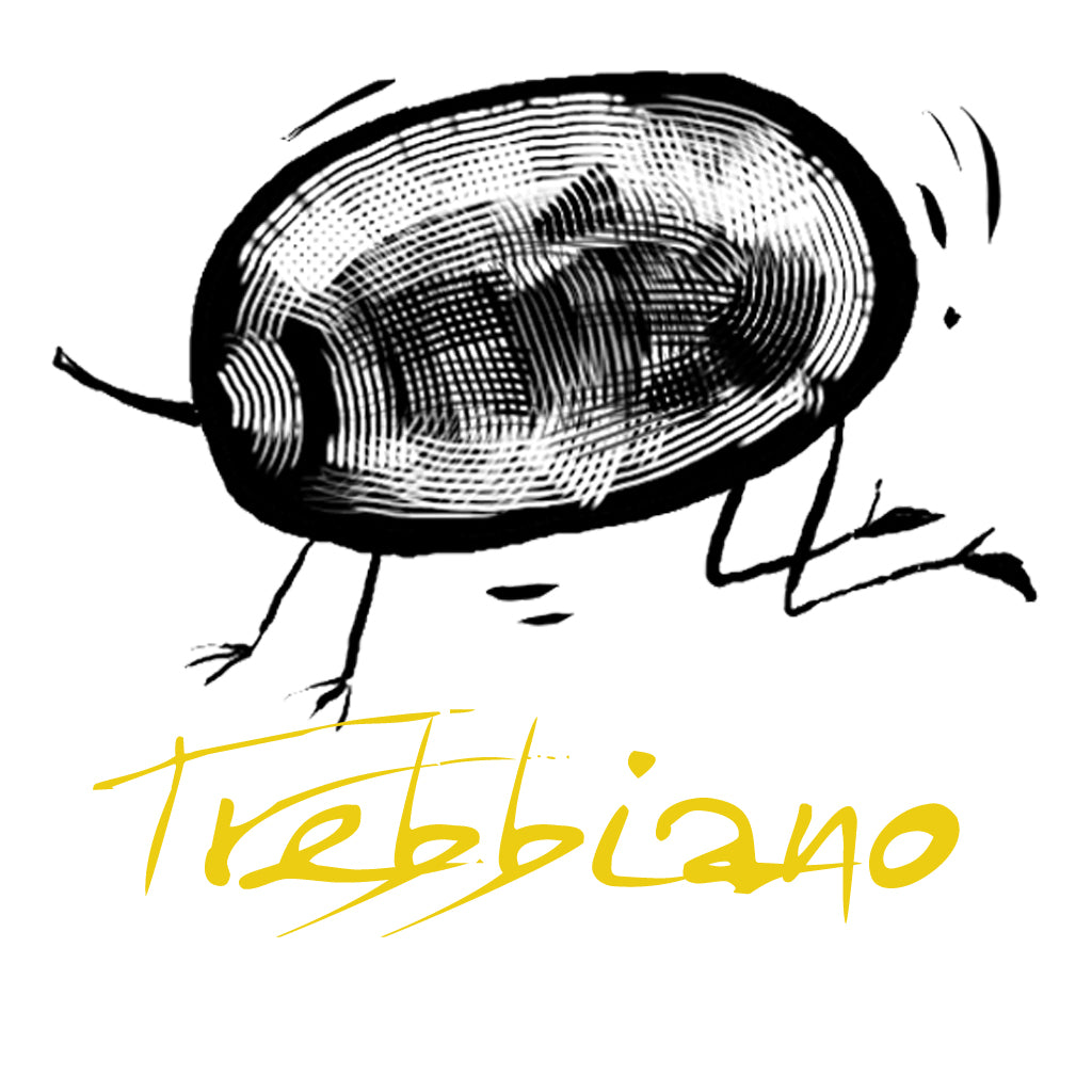 Wines made from the Trebbiano grape