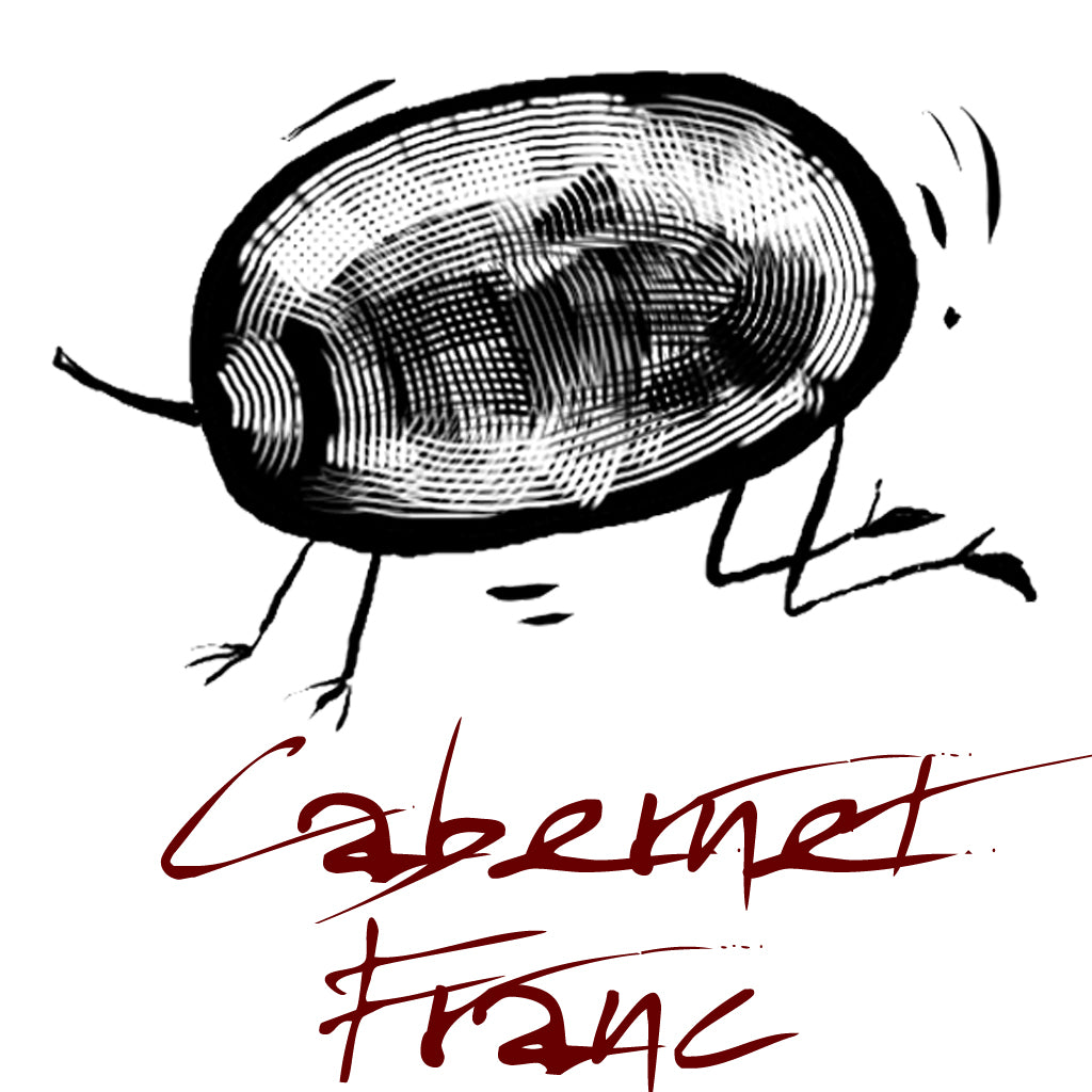 Wine made from the Cabernet Franc grape variety