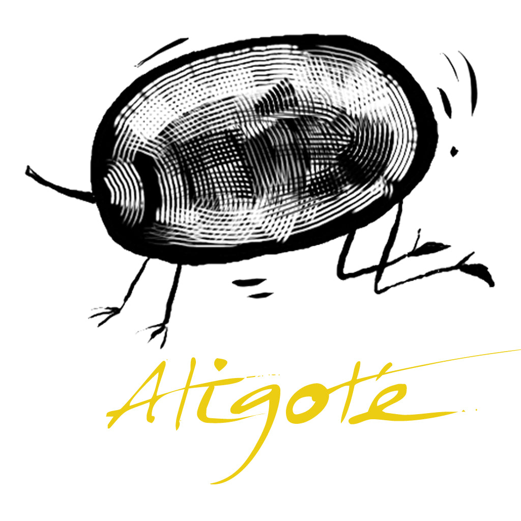 Wines made from the Aligoté grape