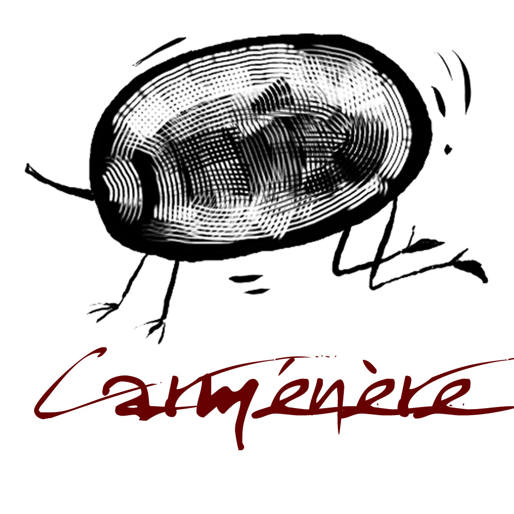 Wines made from the Carménère grape variety