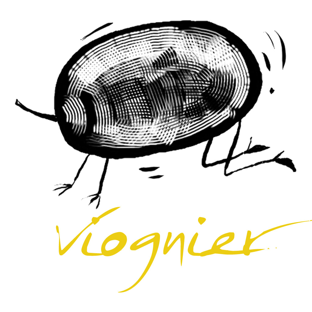 Wine made from the Viognier grape
