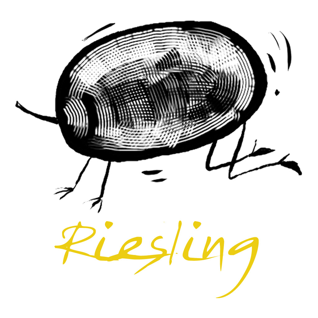 Riesling Grape Variety