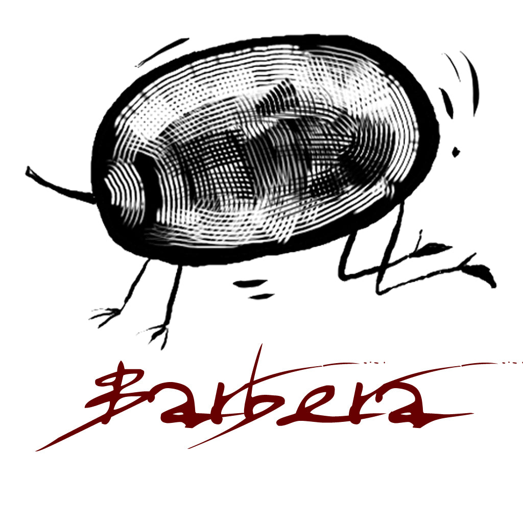 Wine made from the Barbera grape variety