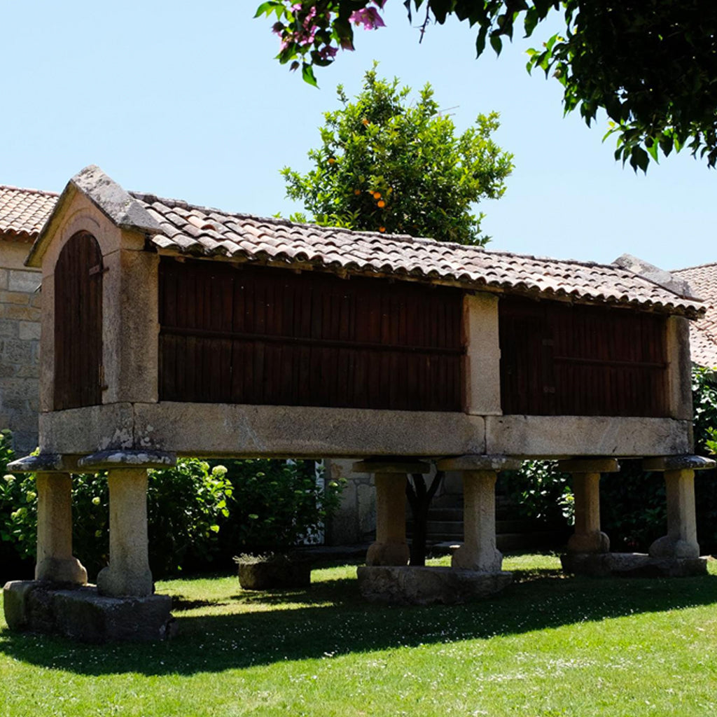 GREEN SPAIN