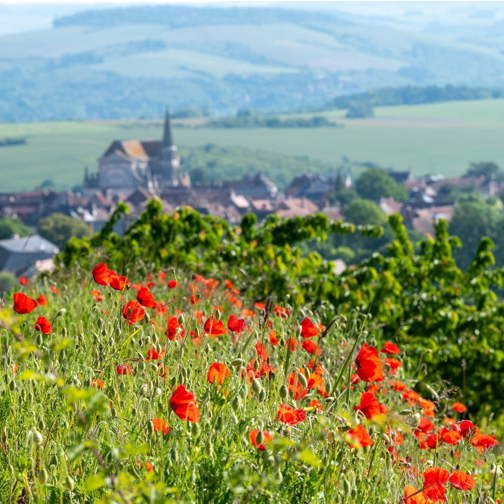 GRAND AUXERROIS