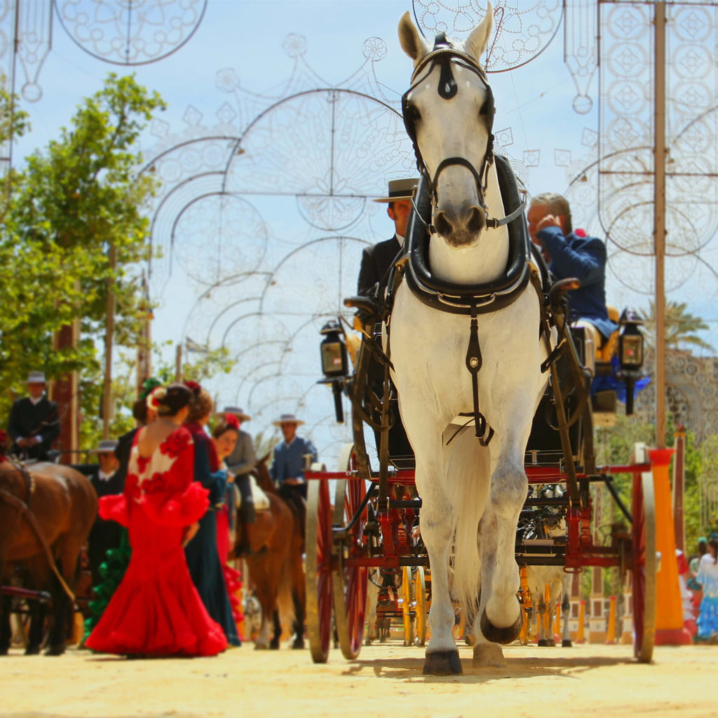 Spanish Fiesta in Jerez featuring horse drawn carriage and flamenco dancers