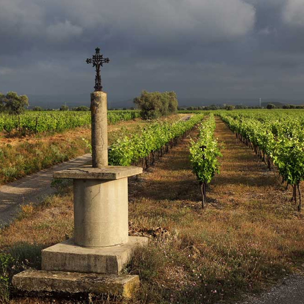 La Pèira Vineyard Collection Image