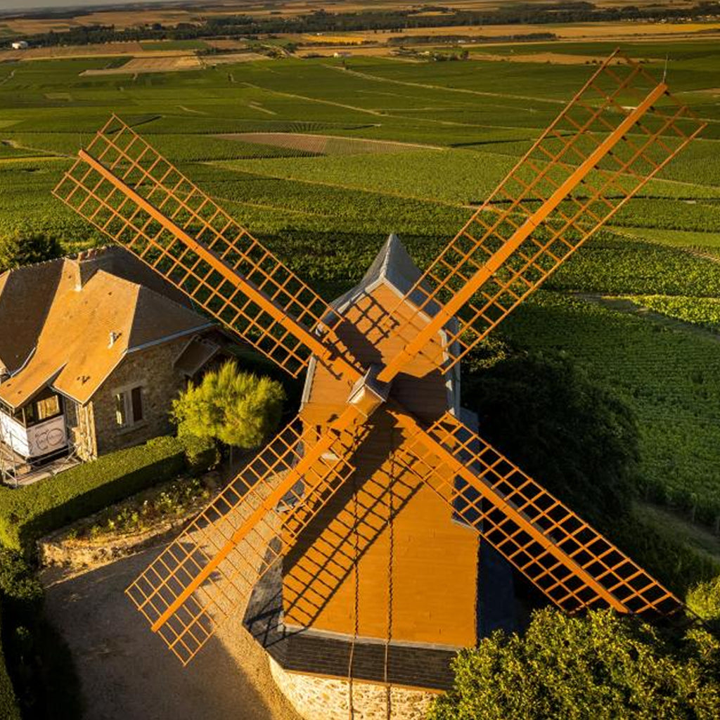The historic Moulin de Verzenay windmill overlooking the Montagne de Reims vineyards