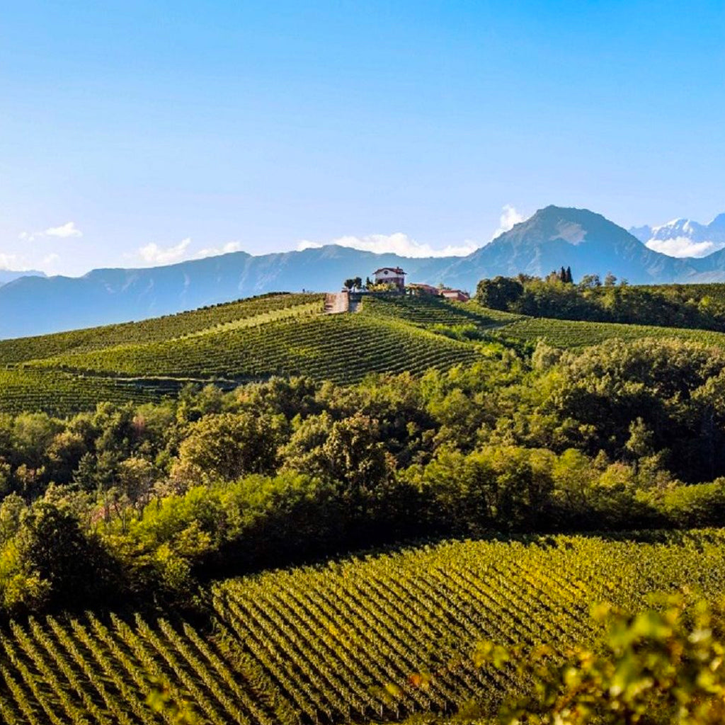 Nervi Cantina in Gattinara