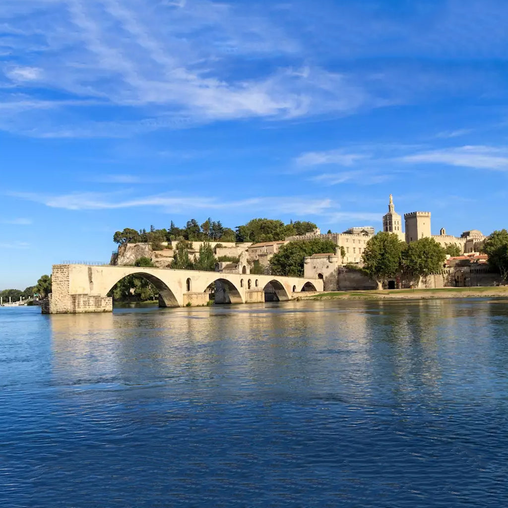 View of Pont Saint-Bénézet and Avignon from across the River Rhône