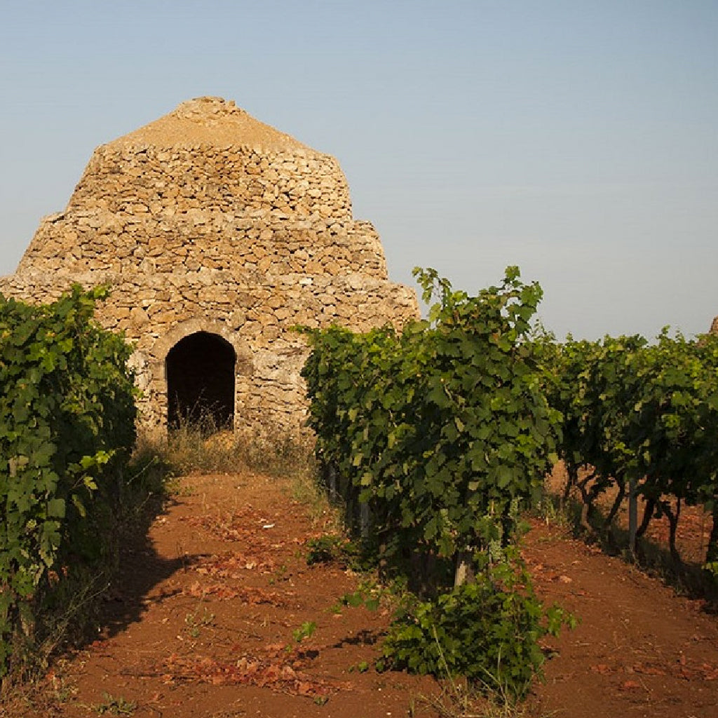 Puglian Vineyards