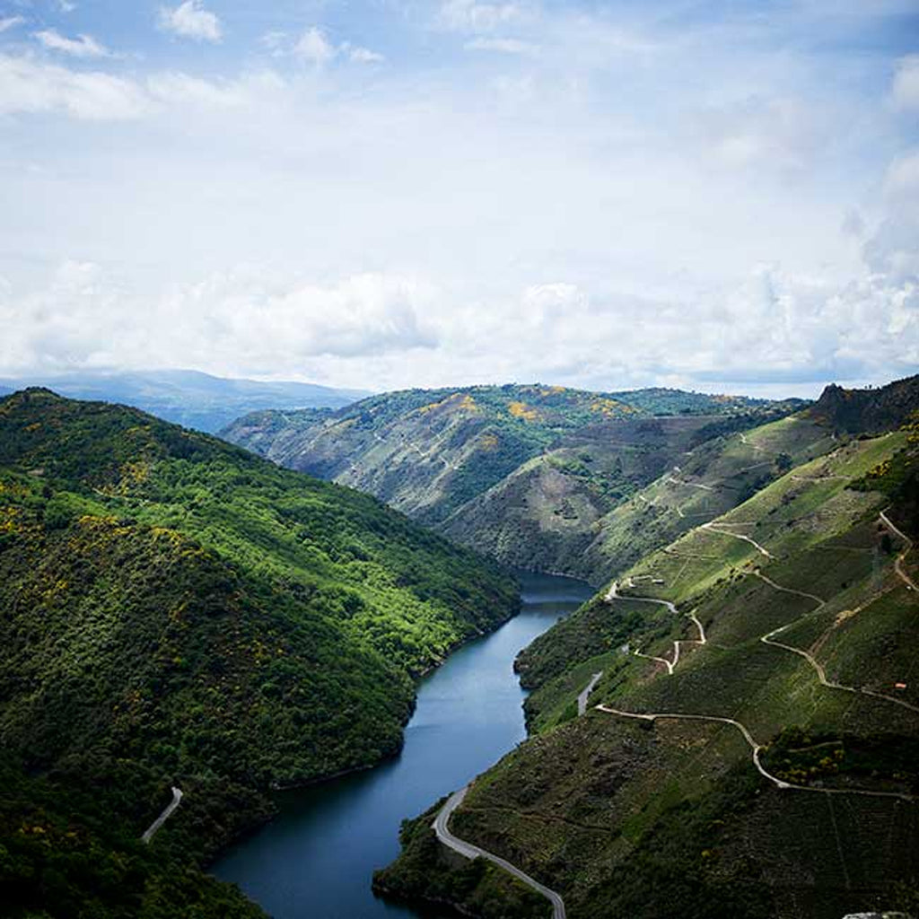 Ribeira Sacra