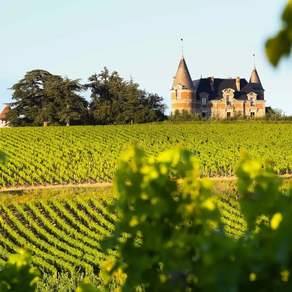 SAUTERNES & BARSAC
