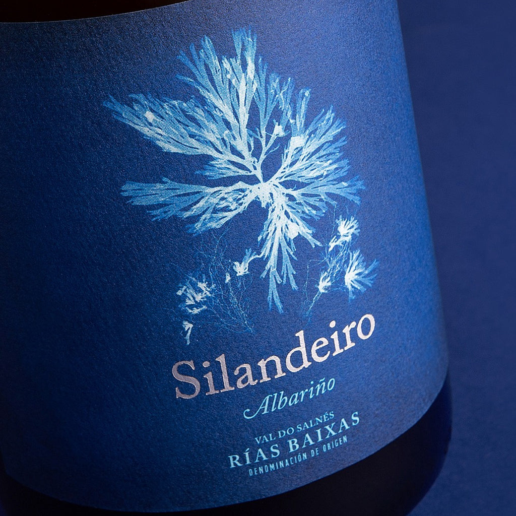 Close up photo of Bodegas Gallegas Silandeiro Albarino Label