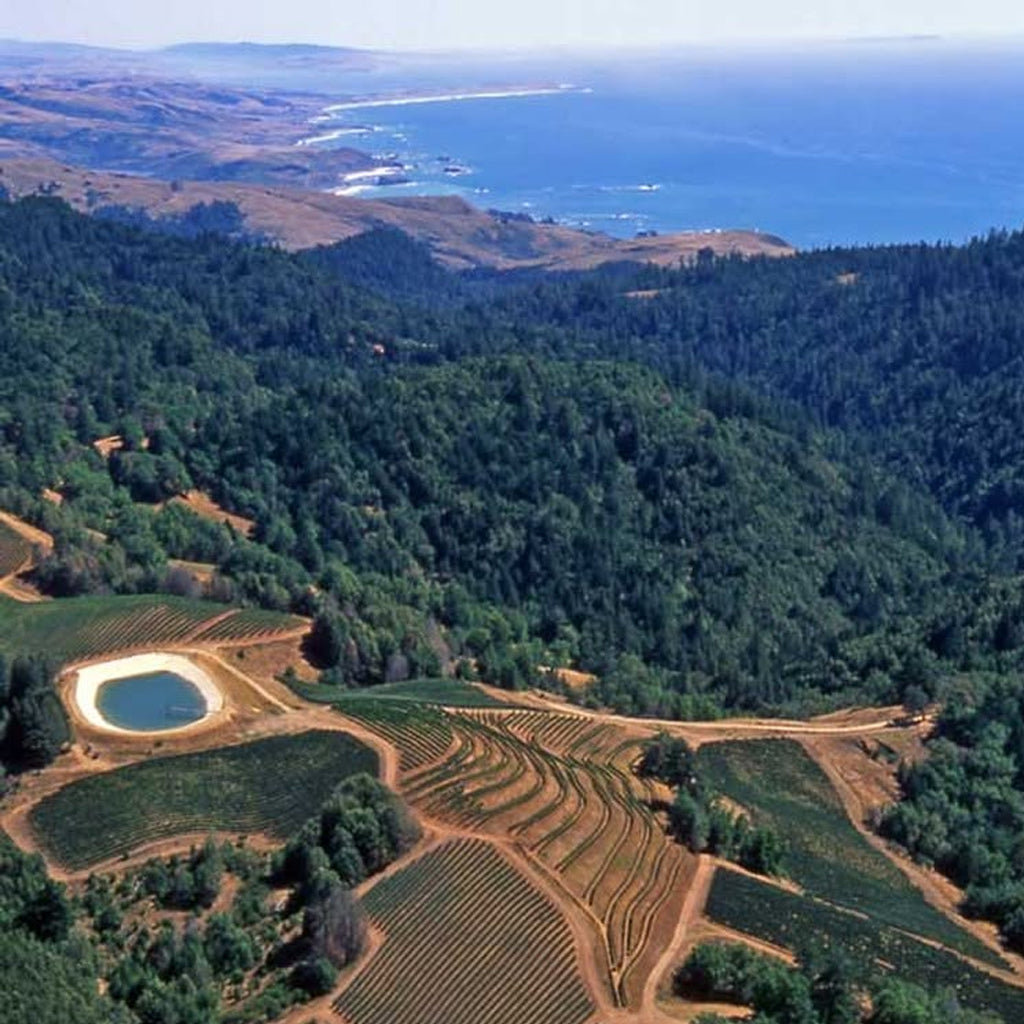 Arial photo of Sonoma County Vineyards with the Pacific Ocean in the distance