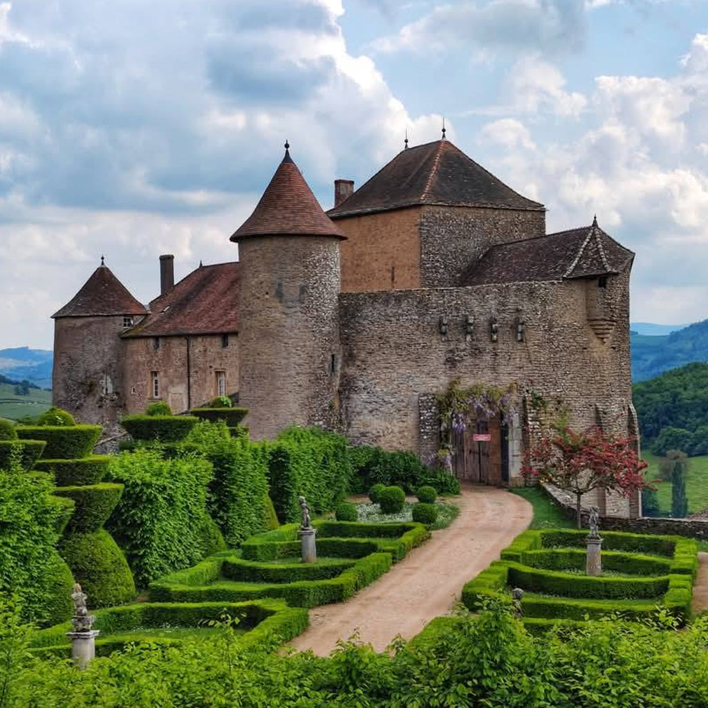 SOUTHERN BURGUNDY
