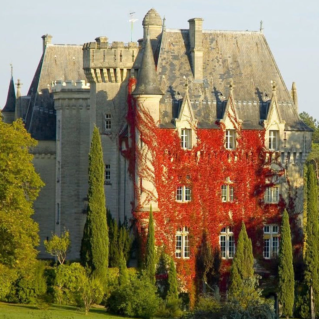 Château de Pitray | Côtes de Bordeauc