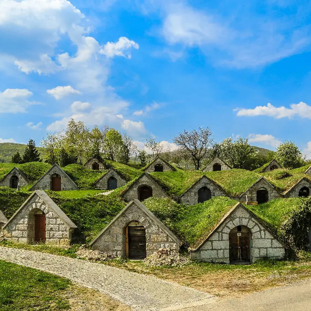 The wine cellars of Tokaj-Hegyalja a UNESCO World Heritage Site