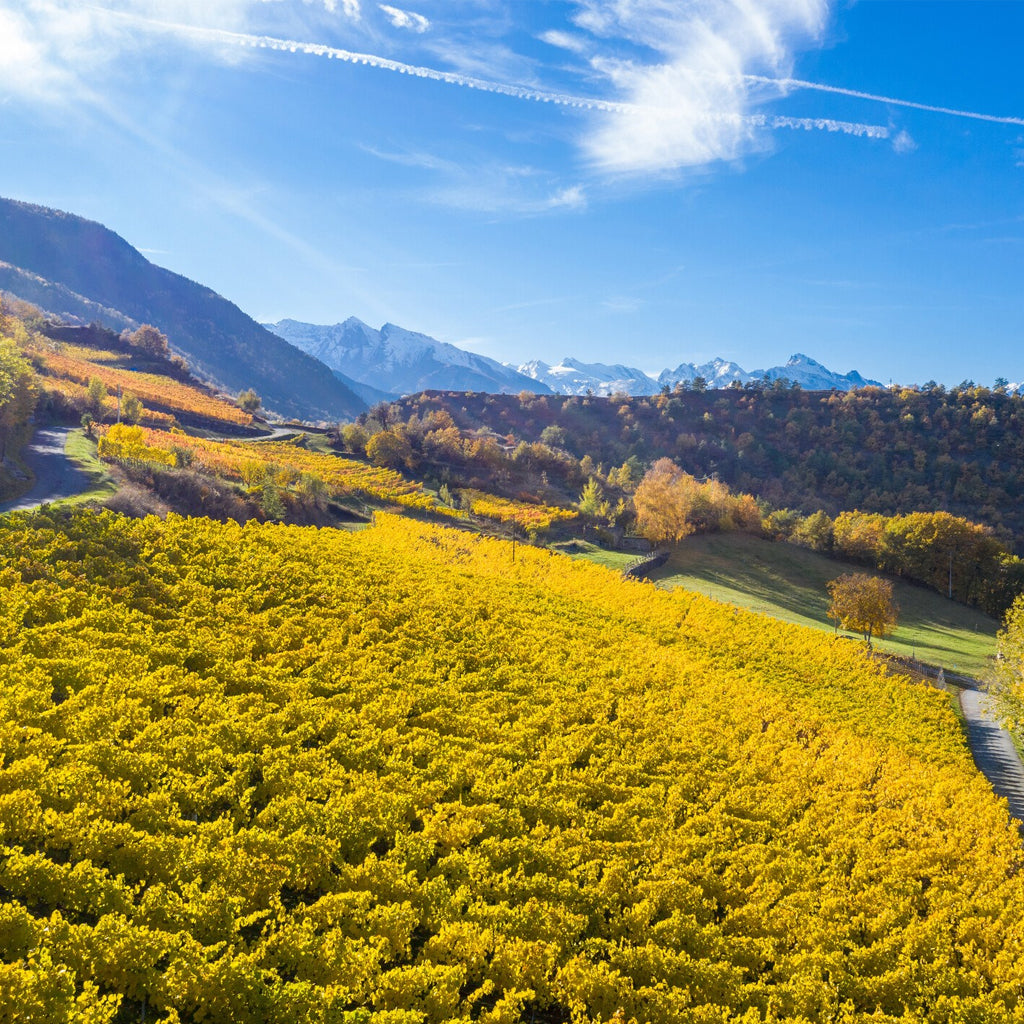 VALLE D'AOSTA