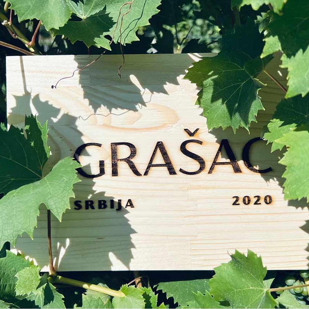 Vinčič Grašac Vines