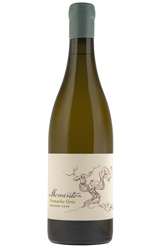 Bottle of Momento Grenache Gris South African white wine on a white background 