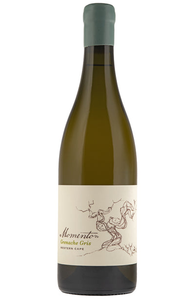 Bottle of Momento Grenache Gris South African white wine on a white background 