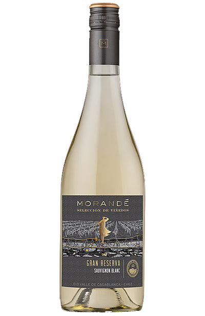 Morandé Sauvignon Blanc Gran Reserva Chilean White Wine Bottle