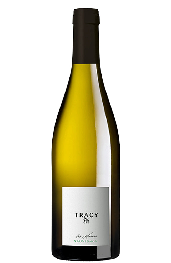 Tracy & Cie Sauvignon Blanc white Wine Bottle on a white background