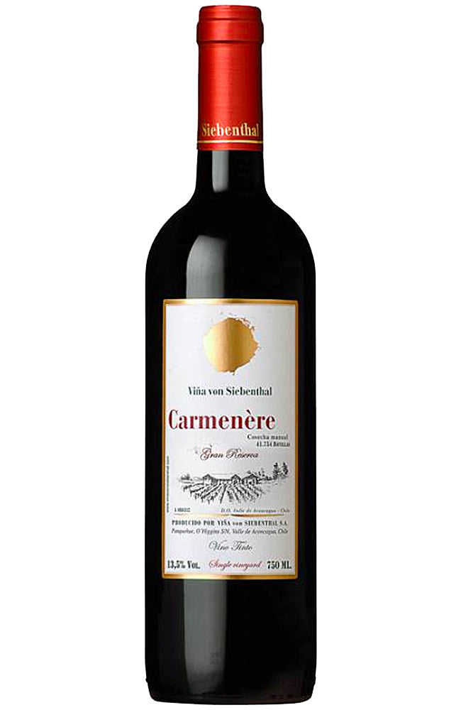 Buy Viña VIK 'Omega' Carmenère Chilean Red Wine Online at Hic!