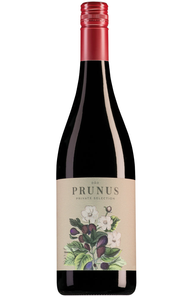 Prunus Dão Tinto Bottle