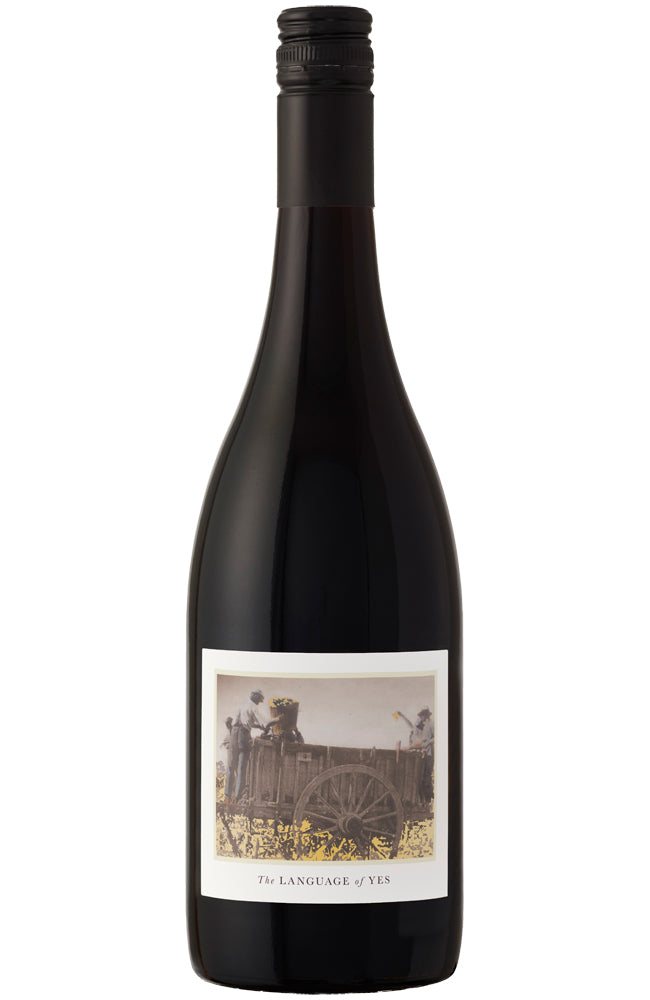 The Language of Yes Santa Maria Valley Syrah Bottle
